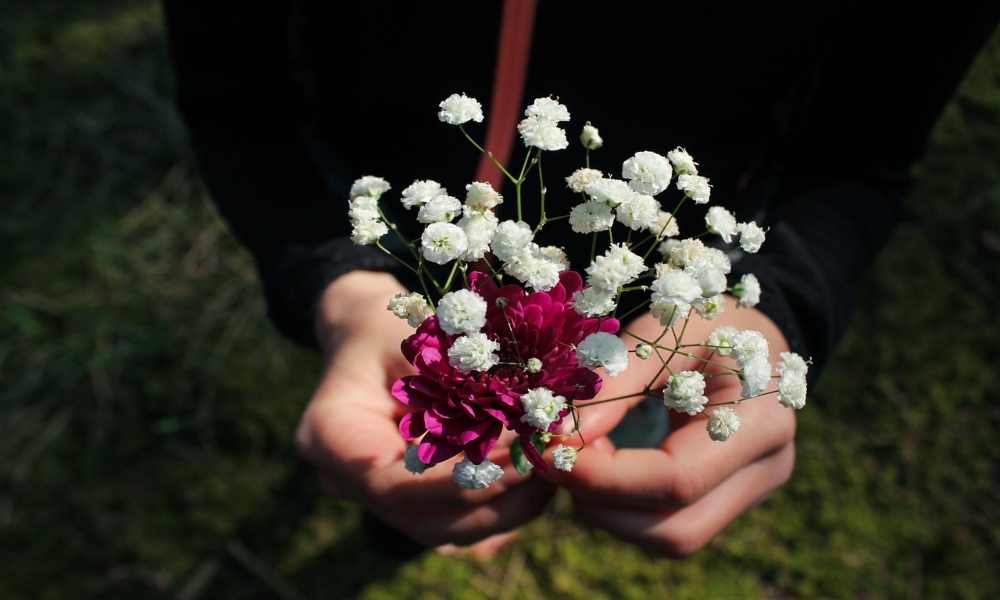 Expressing gratitude with a heartfelt thank you for unexpected gifts.