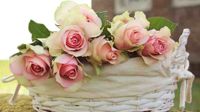 Expressing gratitude with a heartfelt thank you for unexpected gifts.