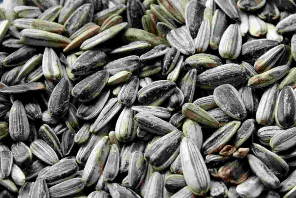 "Image: A handful of sunflower seeds, packed with nutrients and health benefits."