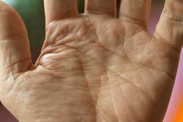 Image of a hand with palm lines highlighted, illustrating palmistry.