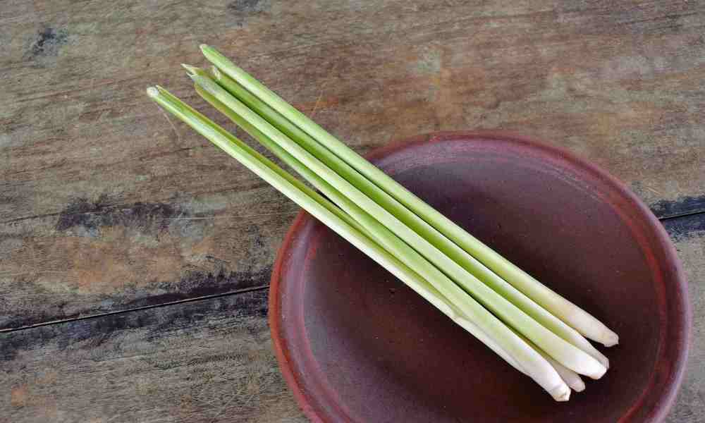 Aromatic lemongrass stalks on a cutting board, ready to enhance culinary creations and wellness routines.