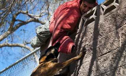 Woman using defensive stance against aggressive dog, demonstrating safety measures during a dog attack.